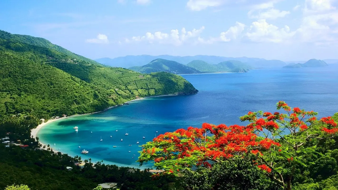 节能高性能网络化